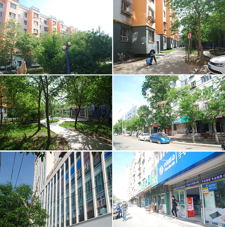 1528174996805511.jpg 444.jpg