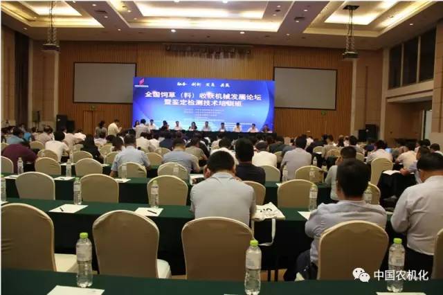 1528264183775088.jpg 3.jpg