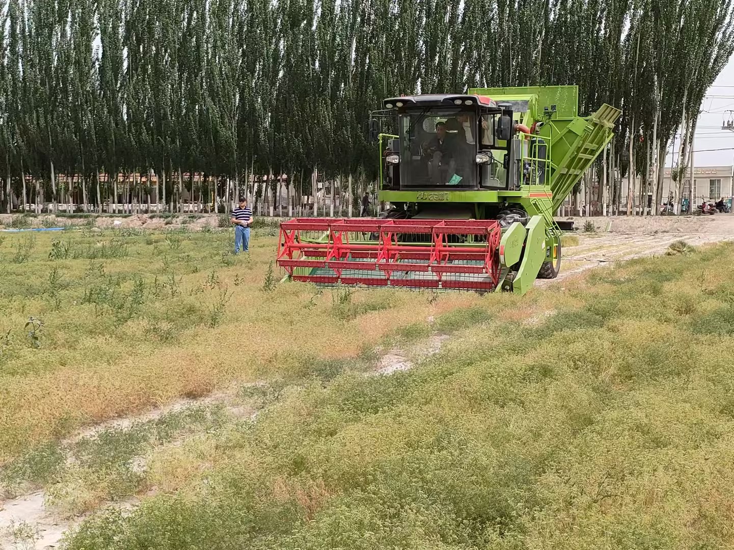 1749607354114955.jpg 1.jpg