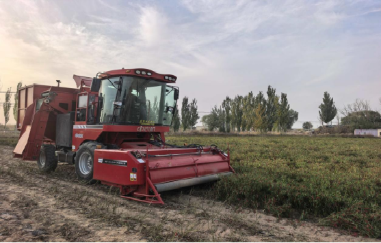 1760170717717038.png 1.png