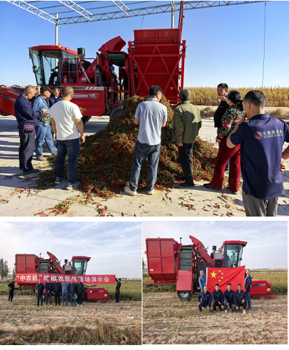 1760177030116960.png 9.png